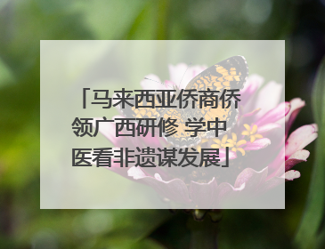 马来西亚侨商侨领广西研修 学中医看非遗谋发展